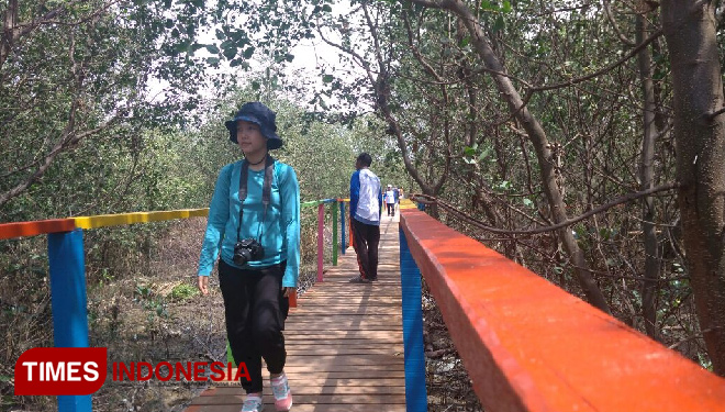 Hutan-MangroveeHAnx.jpg