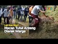 Tak Menerkam! Macan Tutul Lupa Jati Diri Saat Diarak Warga