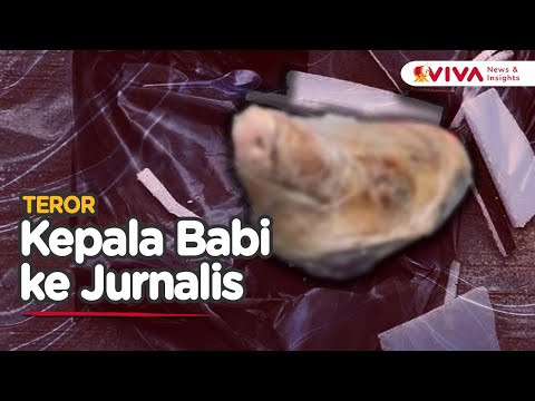Teror Terhadap Kebebasan Pers, Kepala Babi Bikin Gempar
