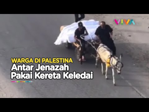 Hati Tercabik, Jenazah di Palestina Diantar dengan Gerobak Keledai