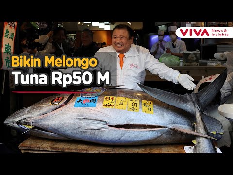 Seekor Tuna Terjual Rp50 Miliar di Tokyo, Ini Kisah di Baliknya