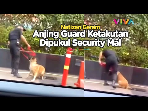 Kata Plaza Indonesia, Soal Security-nya Pukul Anjing