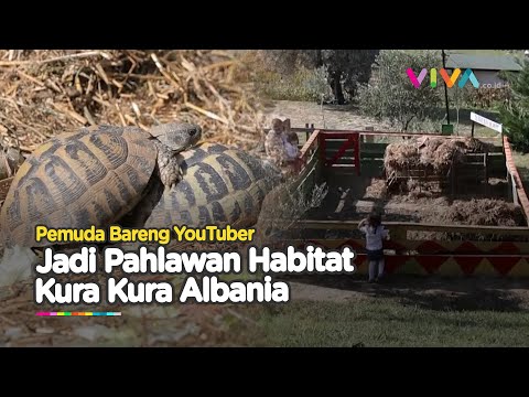 Terancam Punah, Seseorang Selamatkan Habitat Kura Kura Albania.