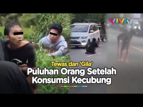 Tingkah Aneh Puluhan Orang Mabuk Kecubung Sebelum Masuk RSJ