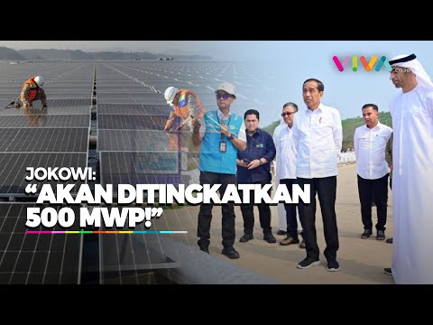 Kata Jokowi Usai Resmikan PLTS Terbesar di Asia Tenggara