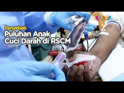 Fenomena Bocil Cuci Darah RSCM Bongkar Penyebabnya