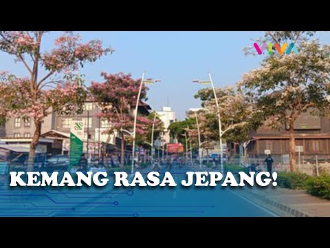 Tak Perlu Naik Pesawat, Vibes Jepang Kini Hadir di Kemang!