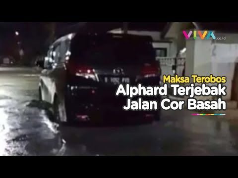 Ngerepotin! Mobil Alphard Maksa Terabas Jalanan yang Baru Dicor,