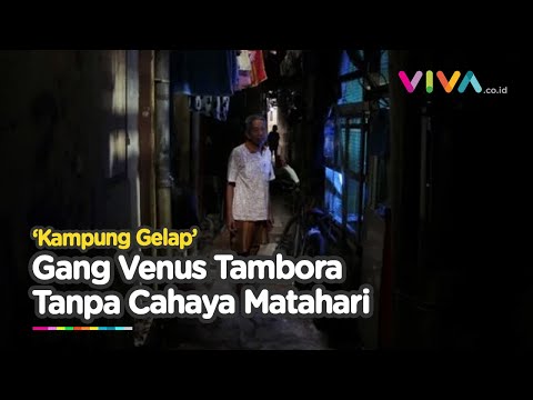 Melihat Lebih Dekat Gang Venus Tambora, Pemukiman Kumuh Tanpa Terkena Sinar Matahari