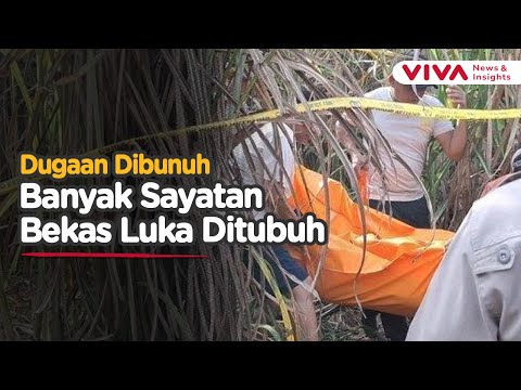 Miris! Ibu Hamil ditemukan Meninggal di Semak-semak Kebun Tebu