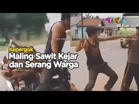 Ketahuan Maling Sawit, Pelaku Malah Serang Warga Pakai 'Senjata'