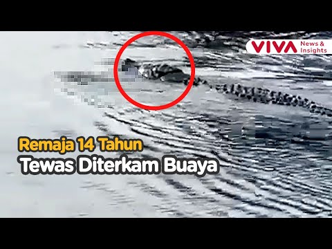 Detik detik Buaya Bawa Tubuh Manusia di Dalam Air