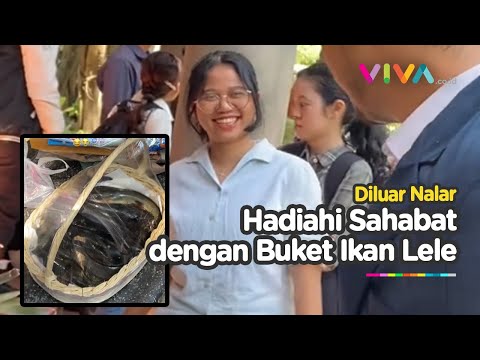 Unik! Mahasiswa UB Bawakan Buket Ikan Lele untuk Temannya yang Selesai Seminar Proposal