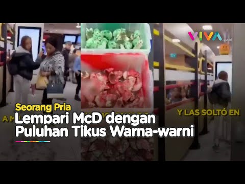 Puluhan Tikus Warna Bendera Palestina 'Serbu' McDonald's