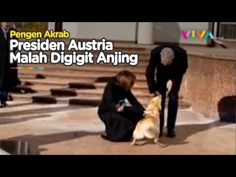 DETIK-DETIK Presiden Austria Digigit Anjing Presiden Moldova
