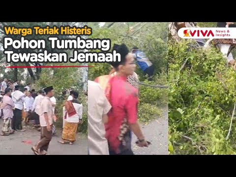 Jelang Salat Ied, Pohon Raksaksa Tumbang Belasan Warga Jadi Korban