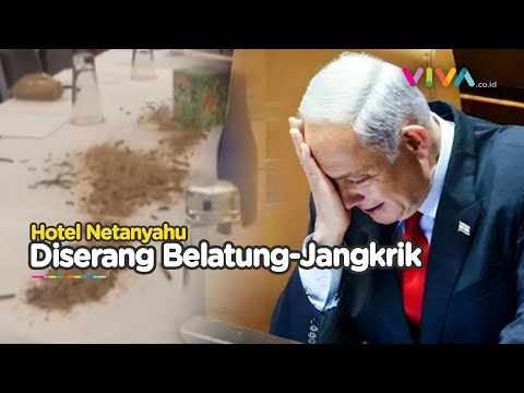 MERINDING! Ribuan Belatung Warnai Kunjungan Netanyahu ke AS