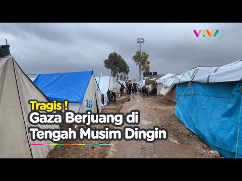Musim Dingin ! Memperburuk Kondisi Pengungsi Warga Gaza
