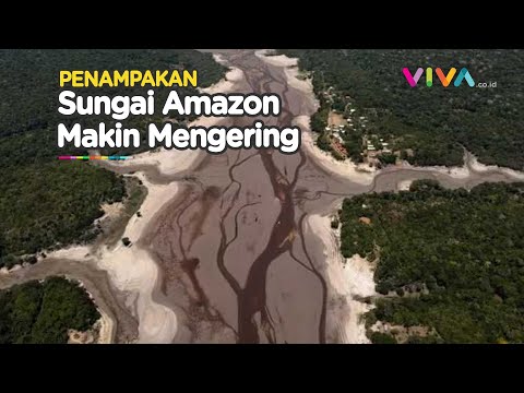 Sungai Amazon Kian Kering, Terparah dalam Lebih dari Seabad