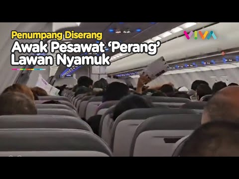 Awak Pesawat Lawan Serangan Nyamuk, Penumpang Kasih Apresiasi