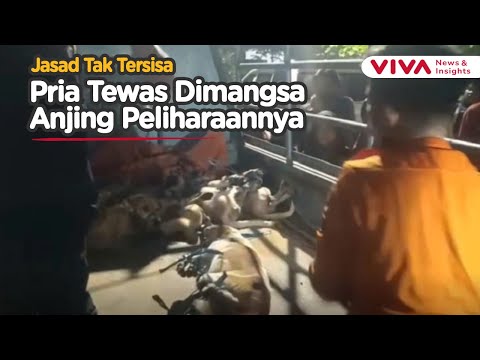 Pria Tewas Diduga Dimangsa Hewan Peliharaan di Surabaya