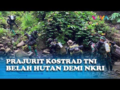 9 Prajurit TNI Tempuh 10 Hari Perjalanan Kaki Menyusuri Hutan Demi Bukti Penting NKRI