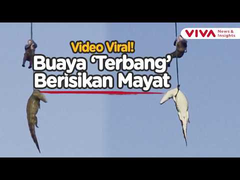 Operasi Ekstrem! Polisi Terbang di Atas Sungai Demi Evakuasi Buaya