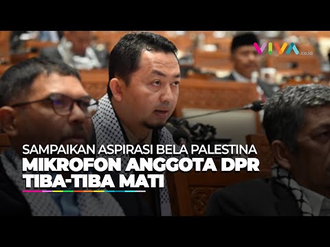Mikrofon Anggota DPR Mati Saat Dukung Palestina, Puan: Mati Sendiri