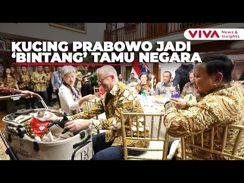 Momen PM Australia Kasih Kalung Syal Buat Kucing Prabowo