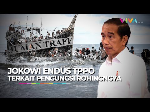 Jokowi Endus Adanya Perdagangan Orang Terkait Pengungsi Rohingya di Aceh
