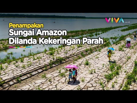 Dunia Dalam Bahaya! Sungai Amazon Mengering, Warga Brasil Menjerit