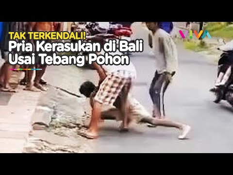 MERONTA-RONTA! Pria Ini Kesurupan Setelah Tebang Pohon di Bali