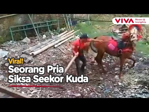 BIADAB! Kuda Lemas Usai Dipukul dengan Kayu Balok