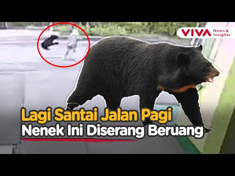 Detik-detik Nenek Berusia 82 Tahun Diserang Beruang Liar di Area Permukiman