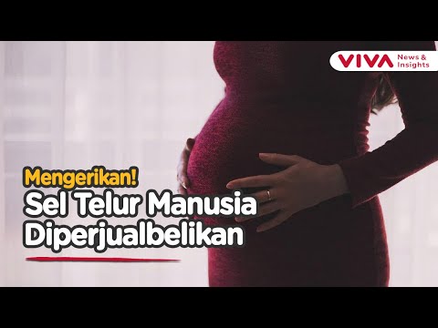 'Ternak Bibit Manusia' di Georgia, Wanita Disekap, Dibius, Sel Telur Dipanen
