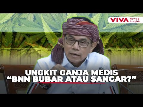 Hinca Panjaitan Soal Ganja Medis: Negara Terlalu Lama Berdiskusi!
