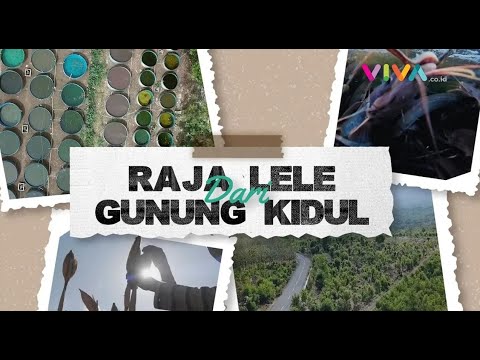 RAJA LELE DARI GUNUNG KIDUL