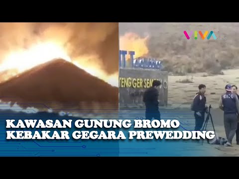 DUH! Prewedding Berujung Kawasan Gunung Bromo Kebakaran