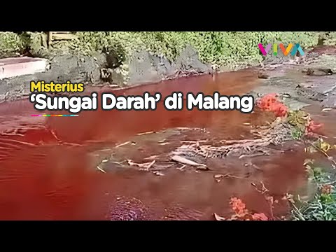 Jelang Malam 1 Suro, Air Sungai di Malang Bak Darah Segar