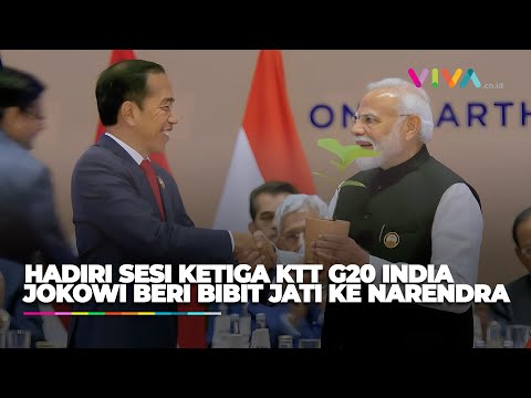 Jokowi Berikan Bibit Pohon Jati untuk Narendra Modi di KTT G20 India