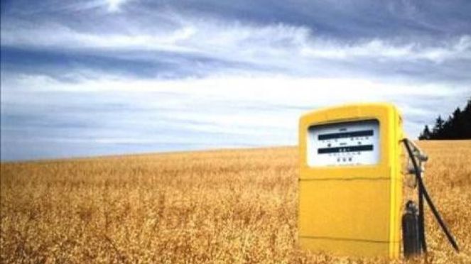 Ilustrasi Biofuel