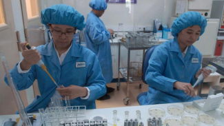 Mau Maju, Industri Farmasi Terganjal Anggaran