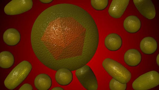 Komisi XI Minta Pemerintah Gencarkan Pemeriksaan Hepatitis Misterius
