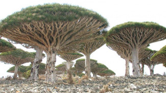 Belum Terungkap, Ini 6 Tempat Misterius di Bumi yang Disebutkan dalam Al Quran