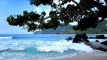 Photo Mini 2