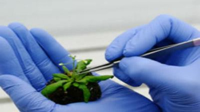 Pengertian Bioteknologi