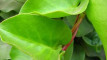 Photo Mini 1
