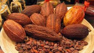 7 Makanan Ini Cegah Lemas saat Puasa, Nomor 4 Mudah Masaknya!