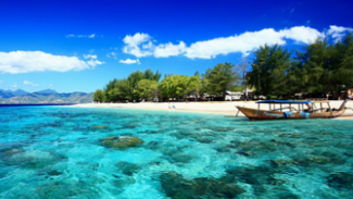 1.000 Bunga Flamboyan Bertebaran di Pesona Gili Indah