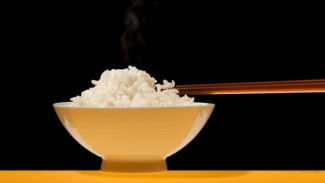 Makan Siang Tanpa Karbohidrat Bisa Turunkan Berat Badan?